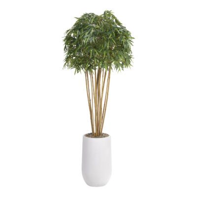 Bamboo Tree in Quinn Planter 8' - 323117