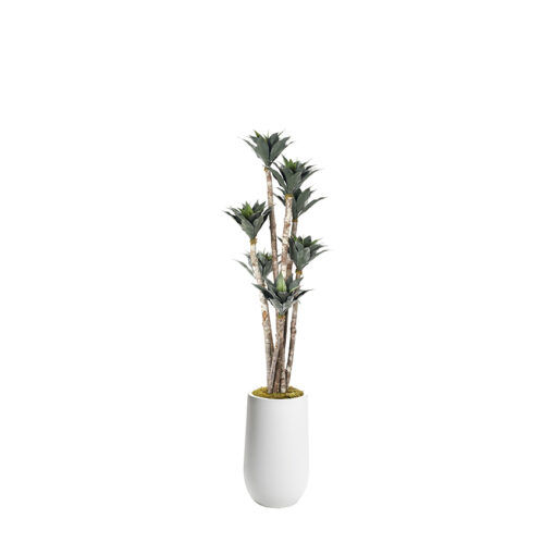 Agave Poles in Quinn Planter 7' - 324005