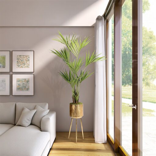 Kentia Palm in Regina Planter - 693-3016 - Image 2