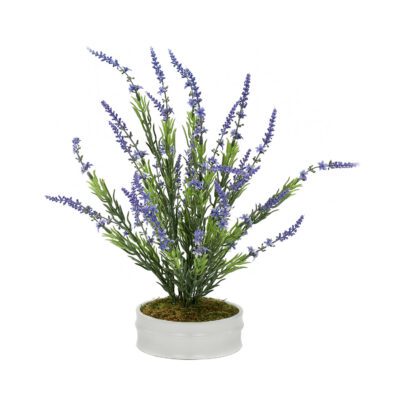 Lavender Bush in Dollop Planter - 7229005