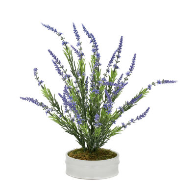 Lavender Bush in Small Dollop Planter - 7229005