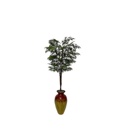 Ming Aralia Tree in Bamboo Spun Vase 5.5' - 7240101