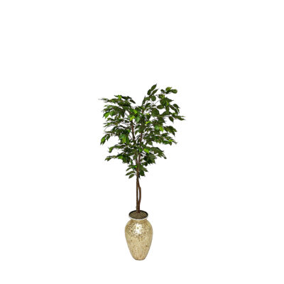 Green Ficus in Bamboo Spun Vase 5.5' - 7240103