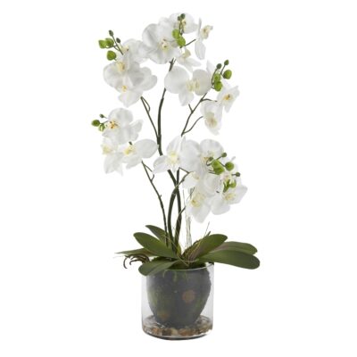White Phael Orchids in Glass Bowl - 189110