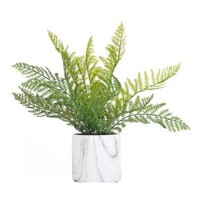 Deer Fern in Marbled Planter - 209133