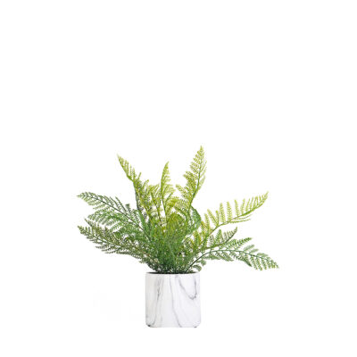 Deer Fern in Marbled Planter - 209133