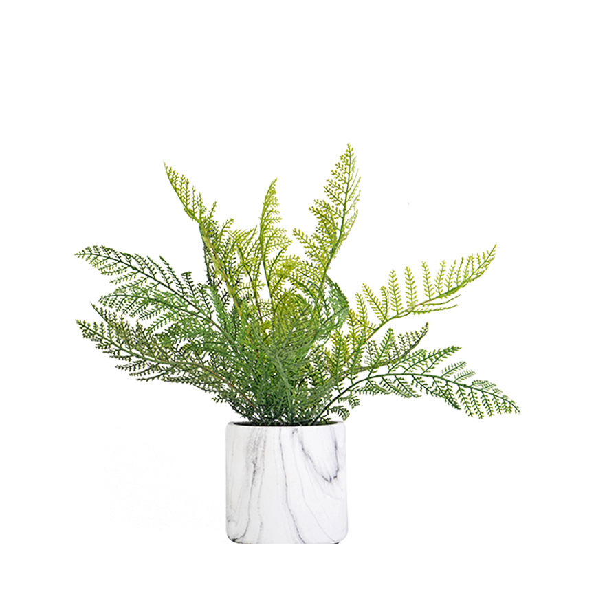 Deer Fern in Marbled Planter - 209133 - Image 2