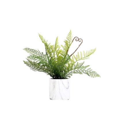 Deer Fern in Marbled Planter - 209133