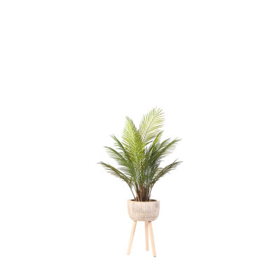 Areca Palm in Wooden Planter with Legs 3.5' - 21PV038