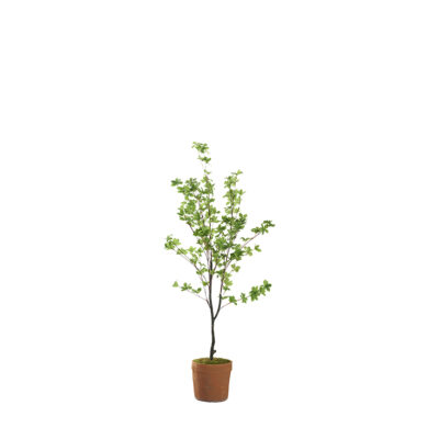 Star Leaf Tree in Trove Planter 4.6' - 21PV312