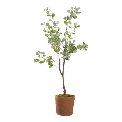 Mini Eucalyptus Tree in Trove Planter 4' - 21PV314
