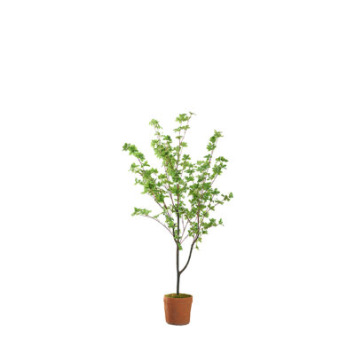 Star Leaf Tree in Trove Planter 5' - 21PV318