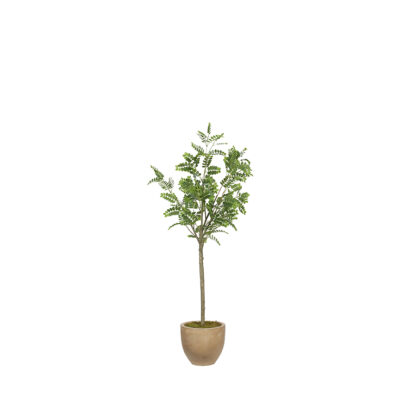 Pagoda Tree in Grove Planter 5.3' - 1022-2907