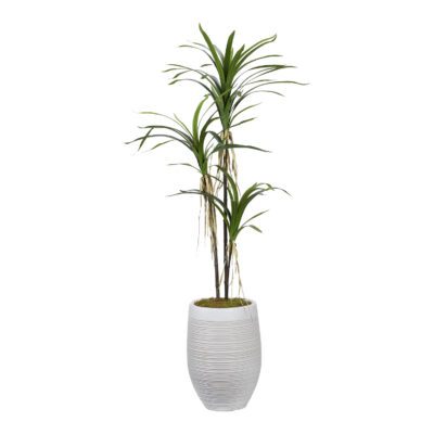 Dracaena Tree in Kai Planter 5.6' - 1023-2917