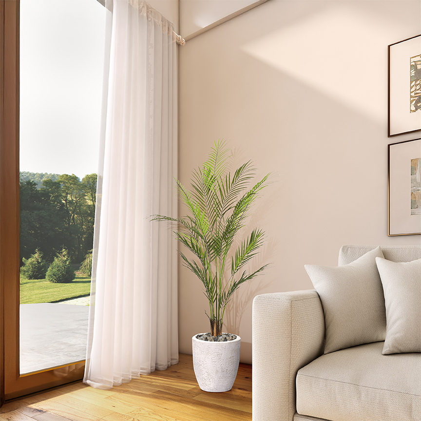 Areca Palm in Hudson Planter 4.3' - 1025-2820 - Image 2