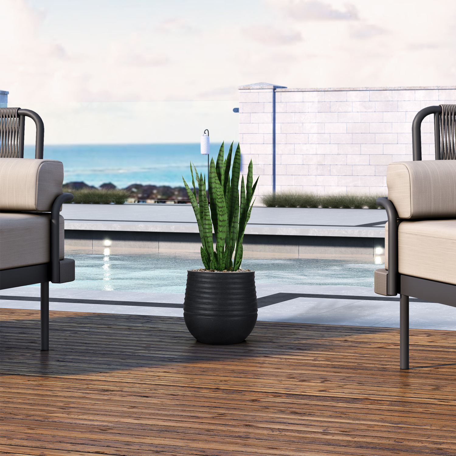 Sansevieria in Mariella Planter - 1026-3047 - Image 2