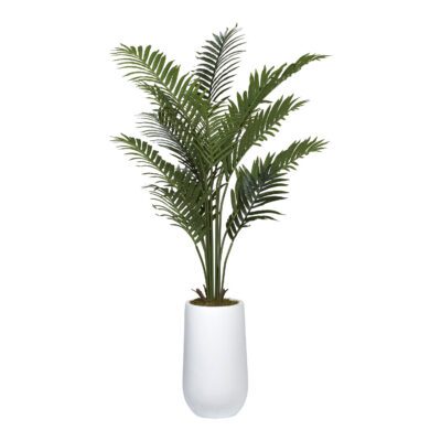 Kentia Palm Tree in Quinn Planter 5.3' - 1030-2532