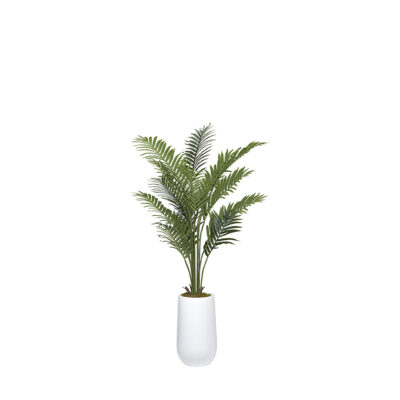 Kentia Palm Tree in Quinn Planter 5.3' - 1030-2532
