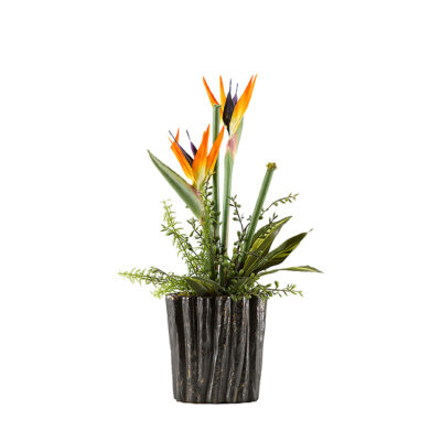 Bird of Paradise with Foliage in Medium Ripple Planter - 174022