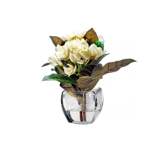 Cream Frangipani in Bevel Vase - 243001