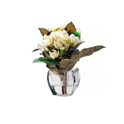 Cream Frangipani in Bevel Vase - 243001