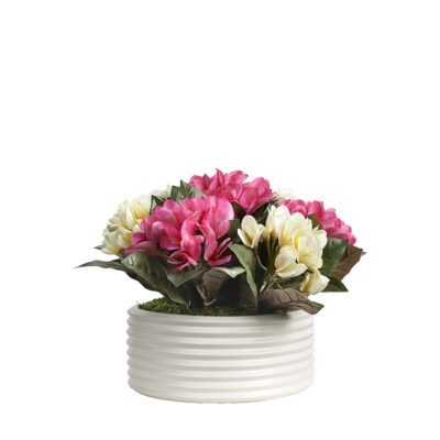 Cream and Pink Frangipani in Armonica Bowl - 243007