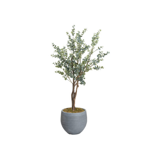 Eucalyptus Tree in Riband Planter 8.5' - 323115