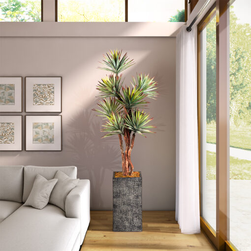 Agave Tree in Everett Planter 8' - 323602-2913 - Image 2