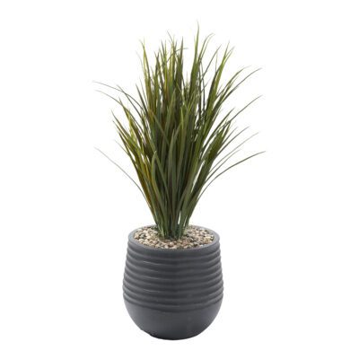Wild Grass in Mariella Planter - 324002