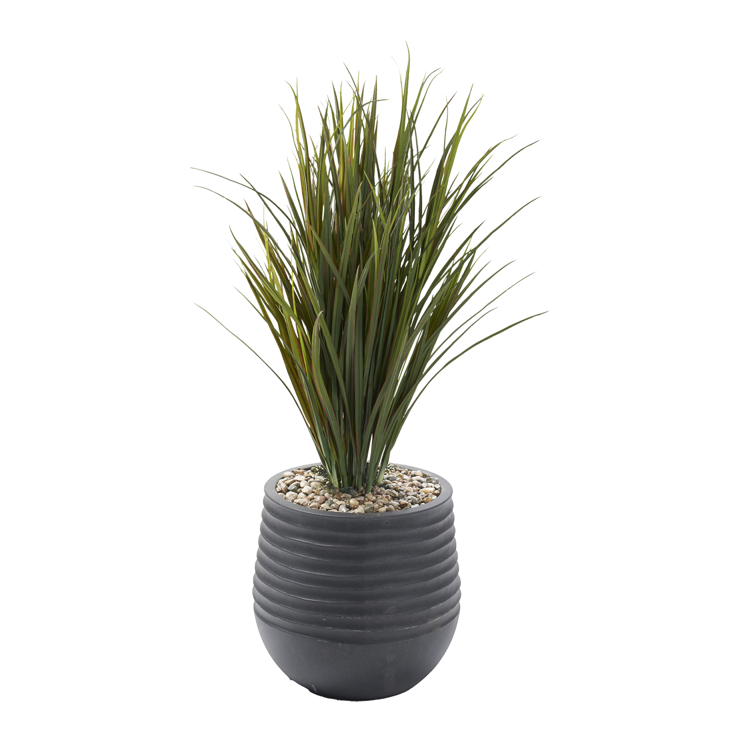 Wild Grass in Mariella Planter - 324002