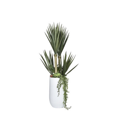 Yucca Trees and Assorted Succulents in Medium Quinn Planter - 324304