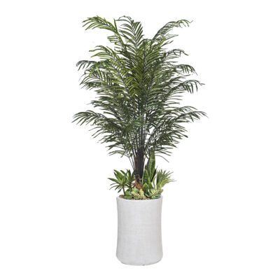 Areca Palm & Assorted Succulents in Weston Planter 8' - 324305