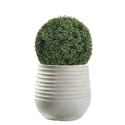 Boxwood Ball in Small White Mariella Planter - 602-3049