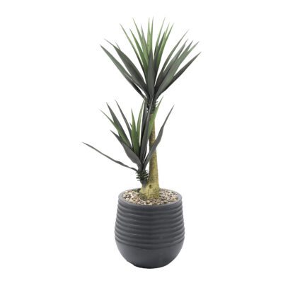 Yucca Plants in Mariella Planter 5' - 808-3047