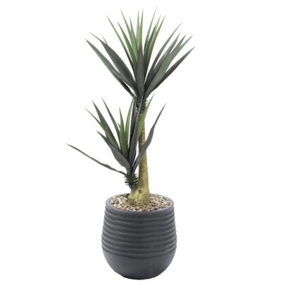 Yucca Plants in Small Black Mariella Planter - 808-3047