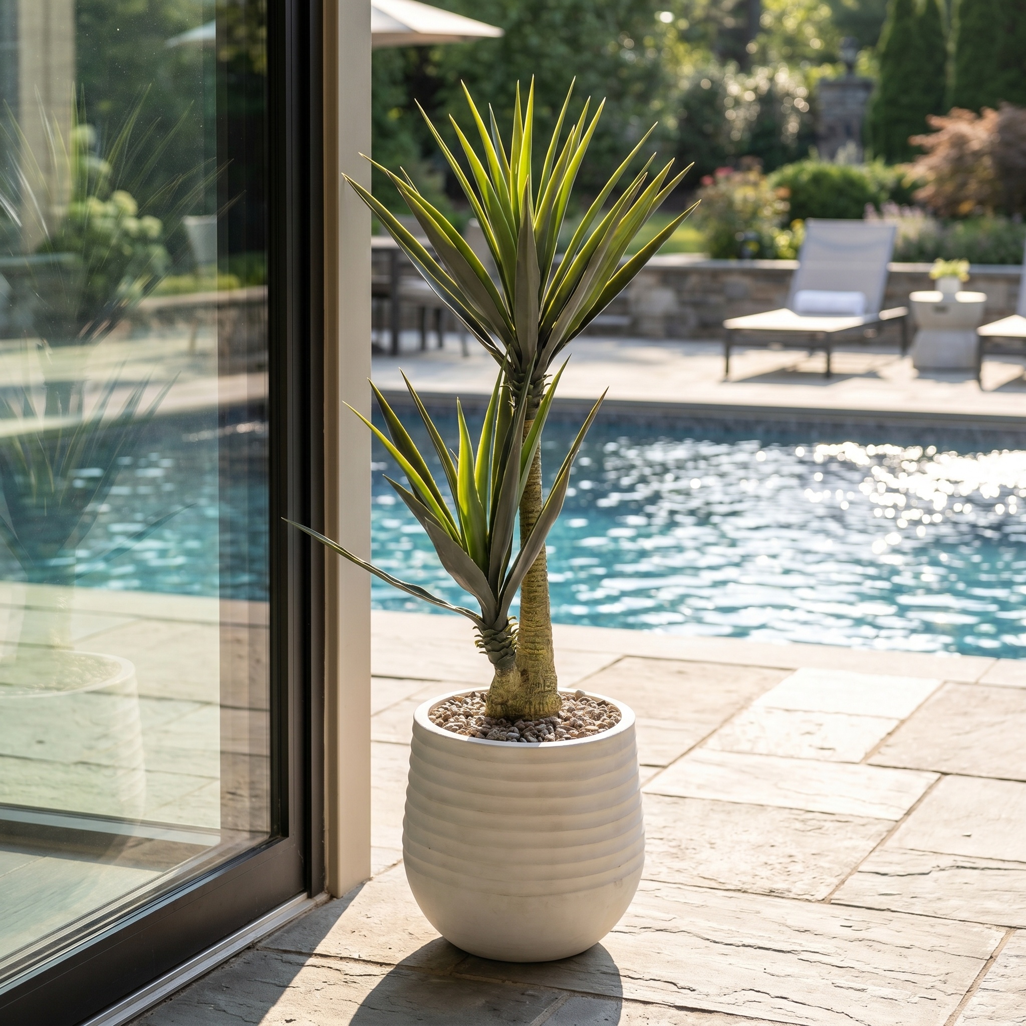 Yucca Plants in Mariella Planter 5' - Image 2