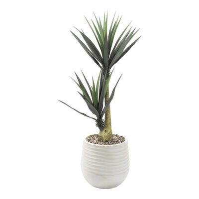 Yucca Plants in Mariella Planter 5' - 808-3049