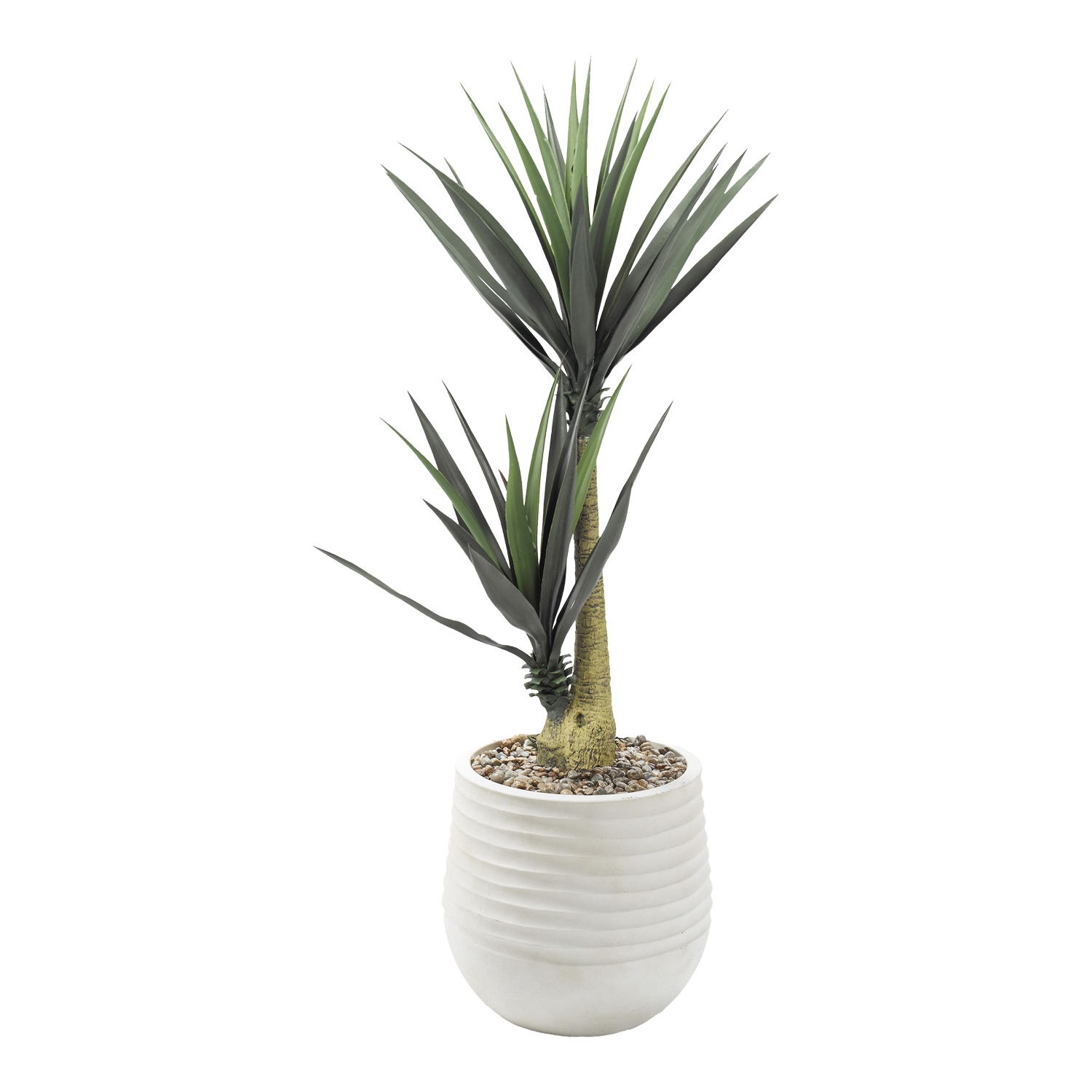 Yucca Plants in Mariella Planter 5' - 808-3049