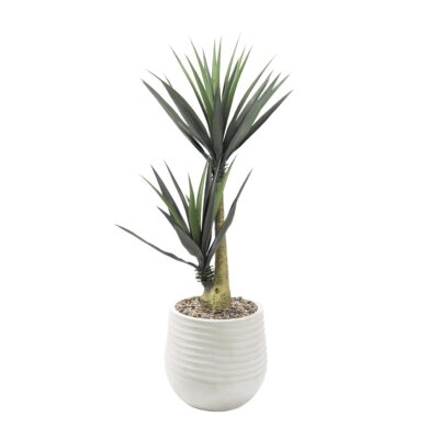 Yucca Plants in Small White Mariella Planter - 808-3049