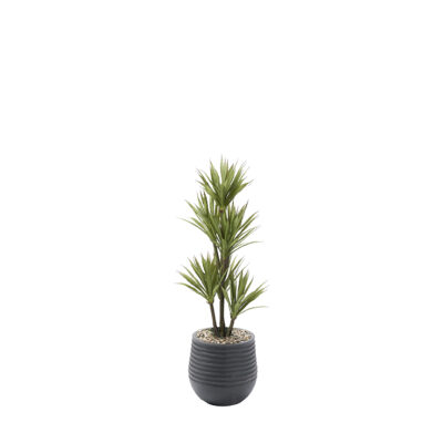 Yucca Tree in Mariella Planter 4.3' - 909-3047