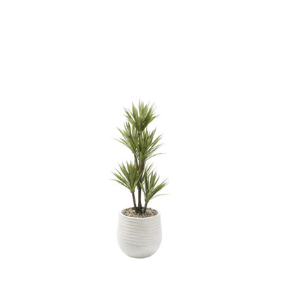 Yucca Tree in Mariella Planter 4.3' - 909-3049