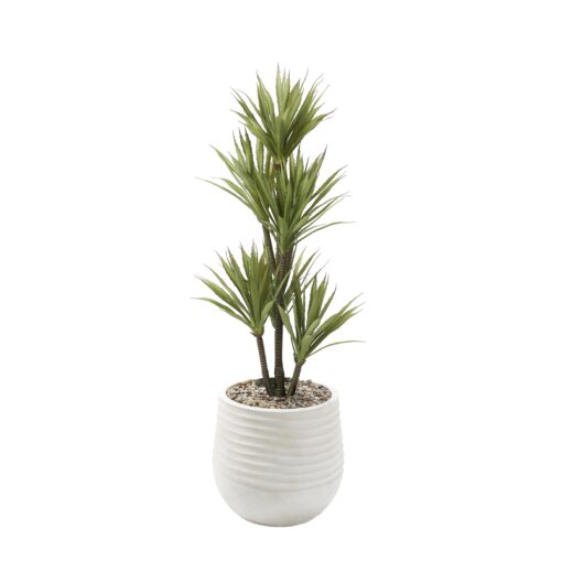 Yucca Tree in Small White Mariella Planter - 909-3049