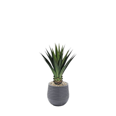 Agave Plant in Mariella Planter 3.6' - 939-3047