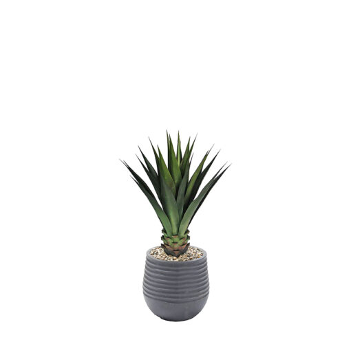 Agave Plant in Mariella Planter 3.6' - 939-3047