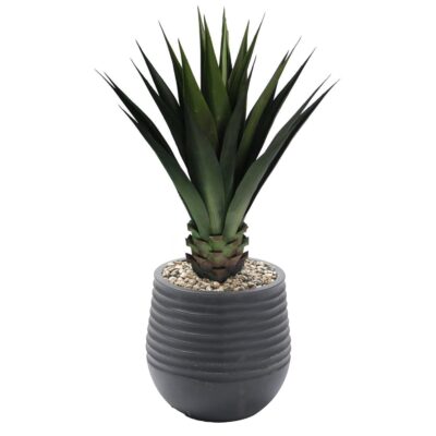 Agave Plant in Small Black Mariella Planter - 939-3047