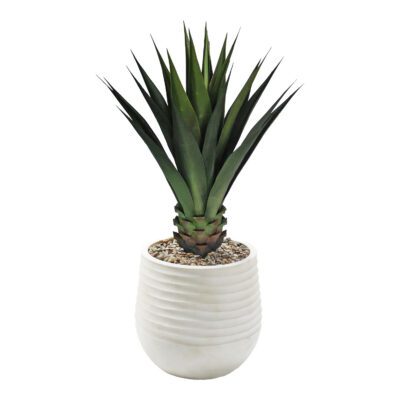 Agave Plant in Mariella Planter 3.6' - 939-3049