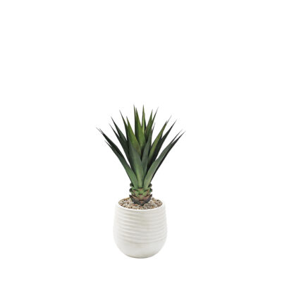 Agave Plant in Mariella Planter 3.6' - 939-3049