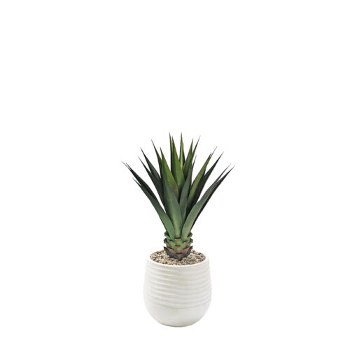Agave Plant in Mariella Planter 3.6' - 939-3049