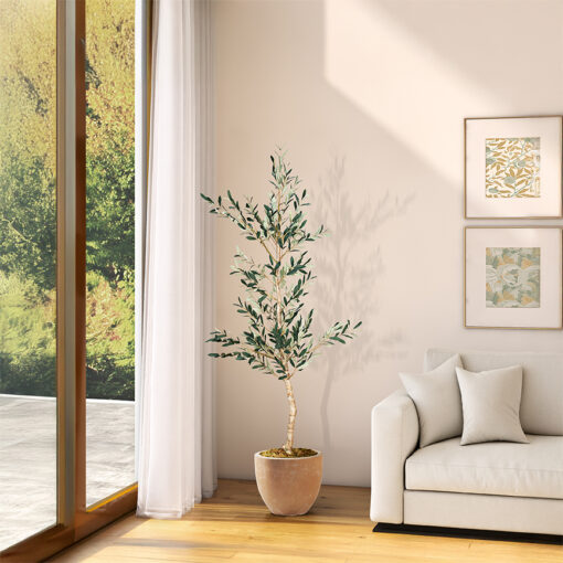 Olive Tree in Grove Planter 6.5' - 324306 - Image 2