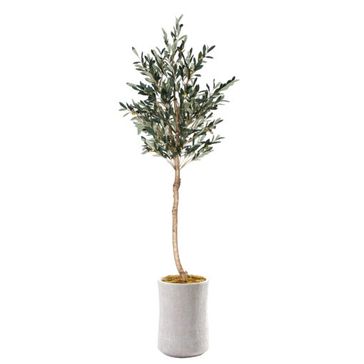 Olive Tree in Small Weston Planter - 324307